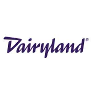 DairyLand Logo